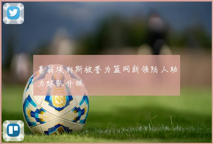 基翁埃利斯被誉为篮网新领防人助力球队升级